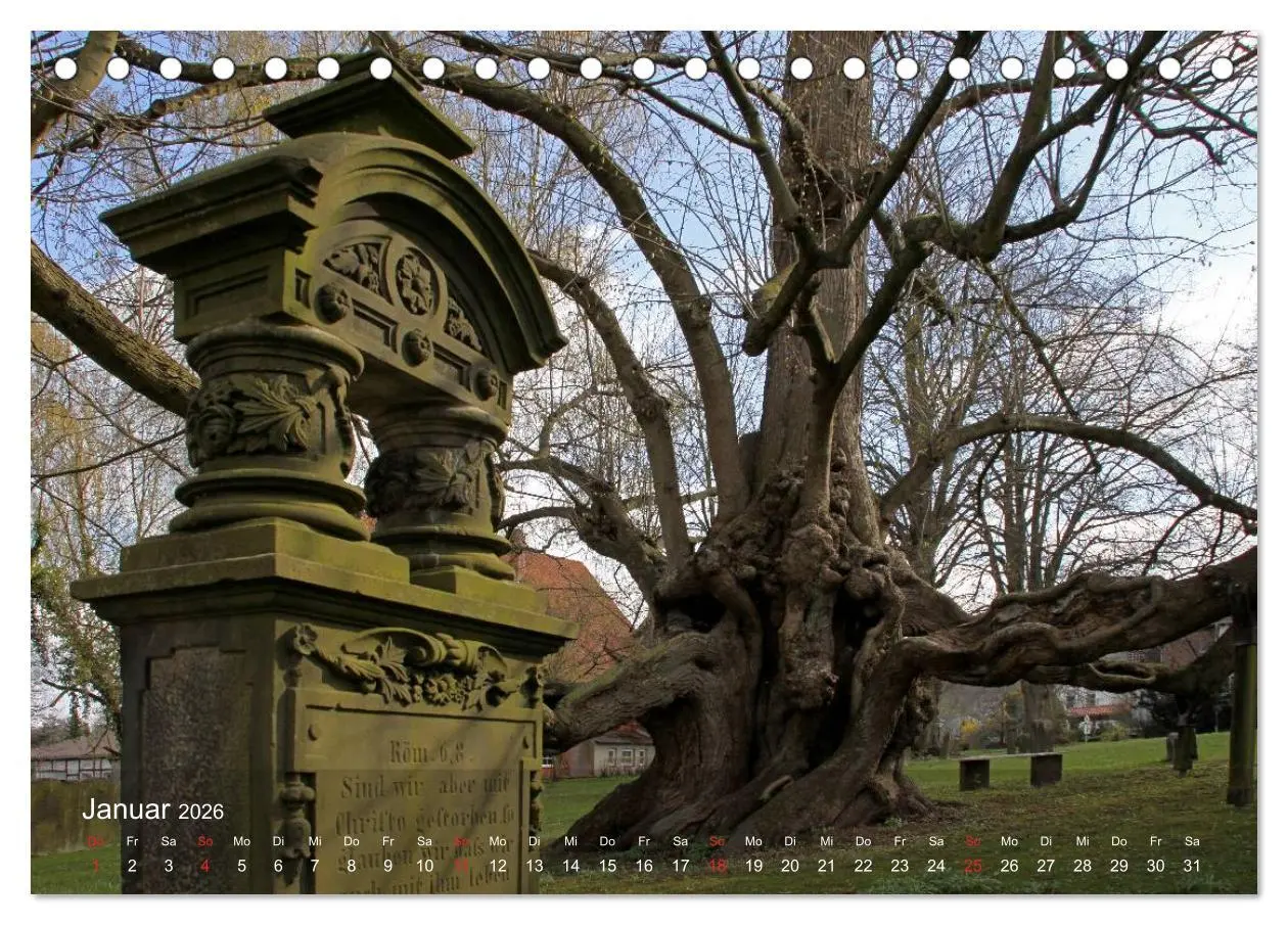 Bild: 9783516224313 | Blomberg in Lippe (Tischkalender 2026 DIN A5 quer), CALVENDO...