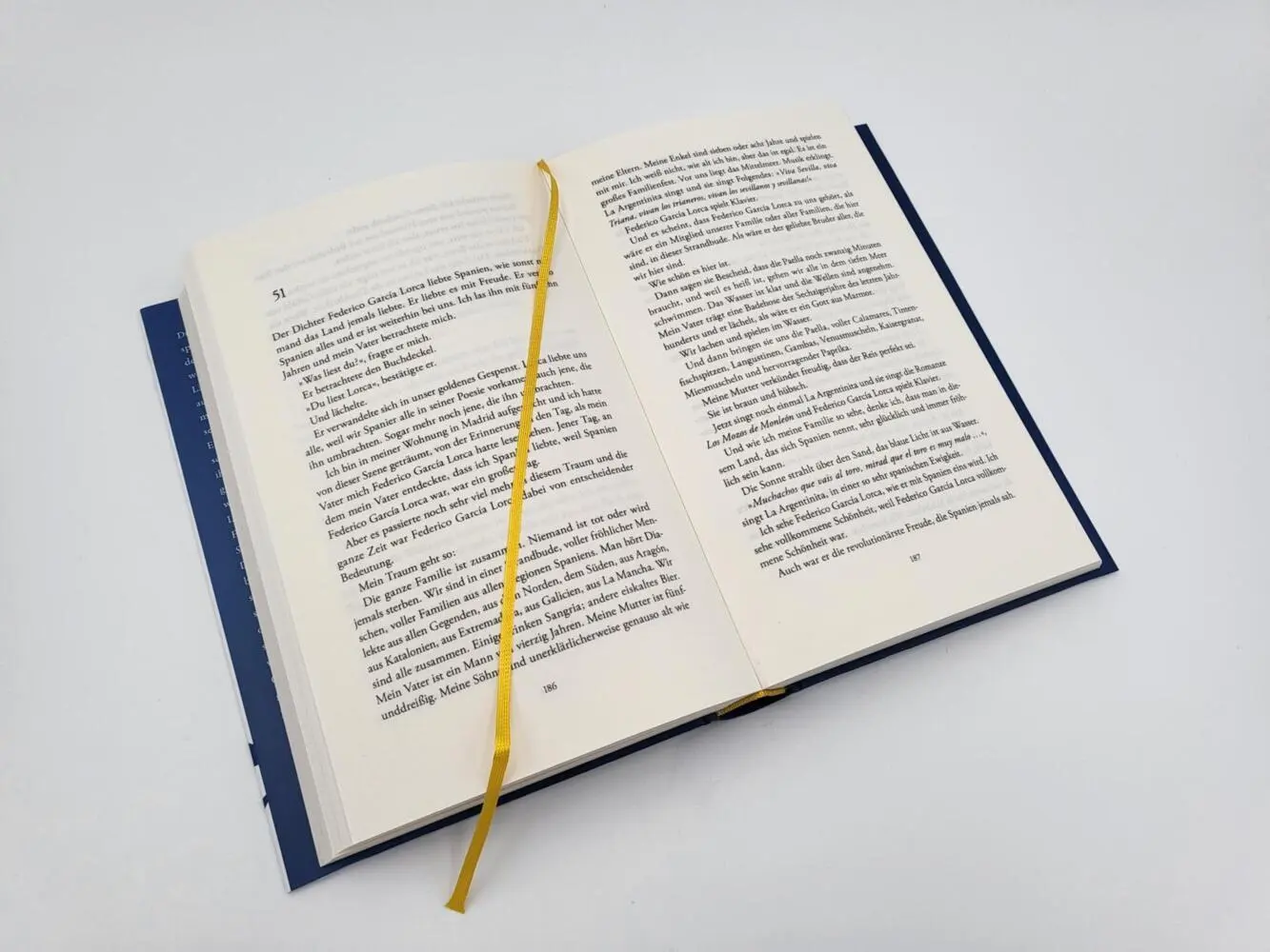 Bild: 9783827014313 | Was bleibt, ist die Freude | Manuel Vilas | Buch | 400 S. | Deutsch