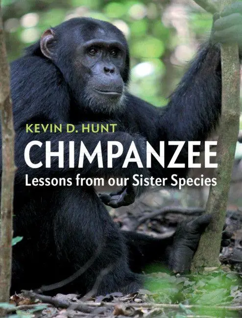 Cover: 9781107544413 | Chimpanzee | Kevin D. Hunt | Taschenbuch | Kartoniert / Broschiert