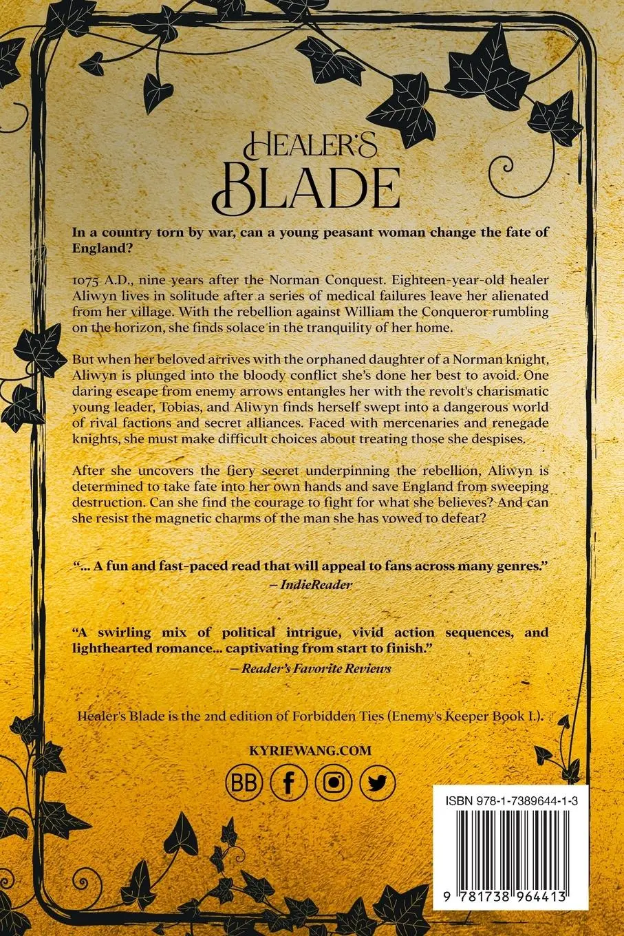 Rückseite: 9781738964413 | Healer's Blade (Enemy's Keeper Book 1) | Kyrie Wang | Taschenbuch