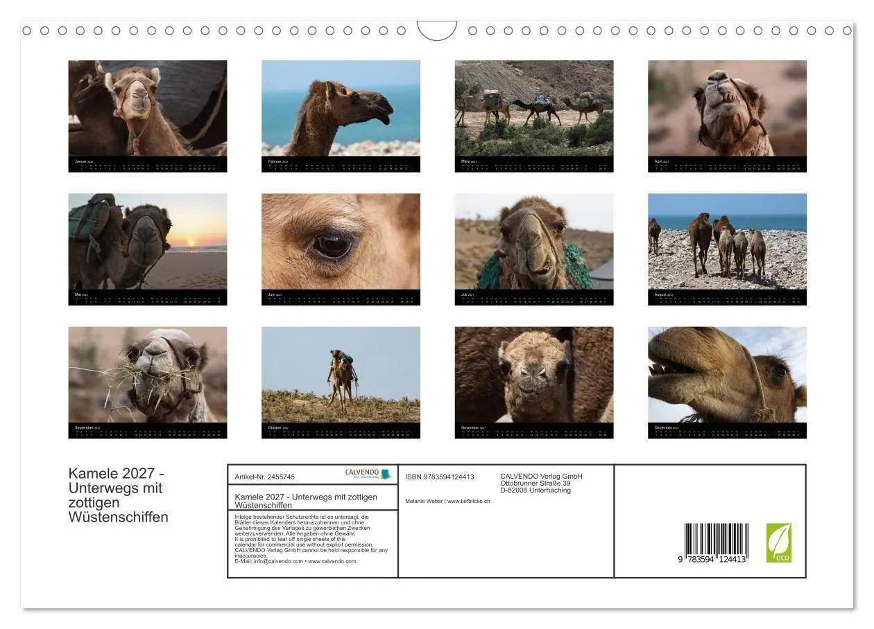 Bild: 9783594124413 | Kamele 2027 - Unterwegs mit zottigen Wüstenschiffen (Wandkalender...