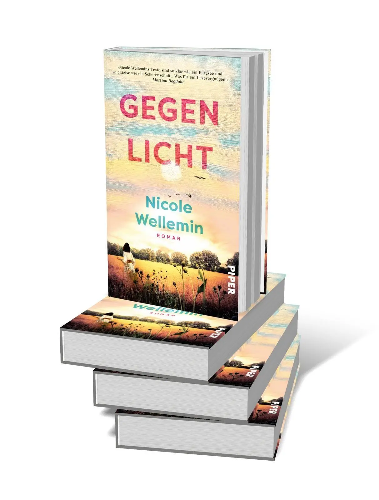 Bild: 9783492074513 | Gegenlicht | Roman Berührender und kluger Coming-of-Age-Roman | Buch