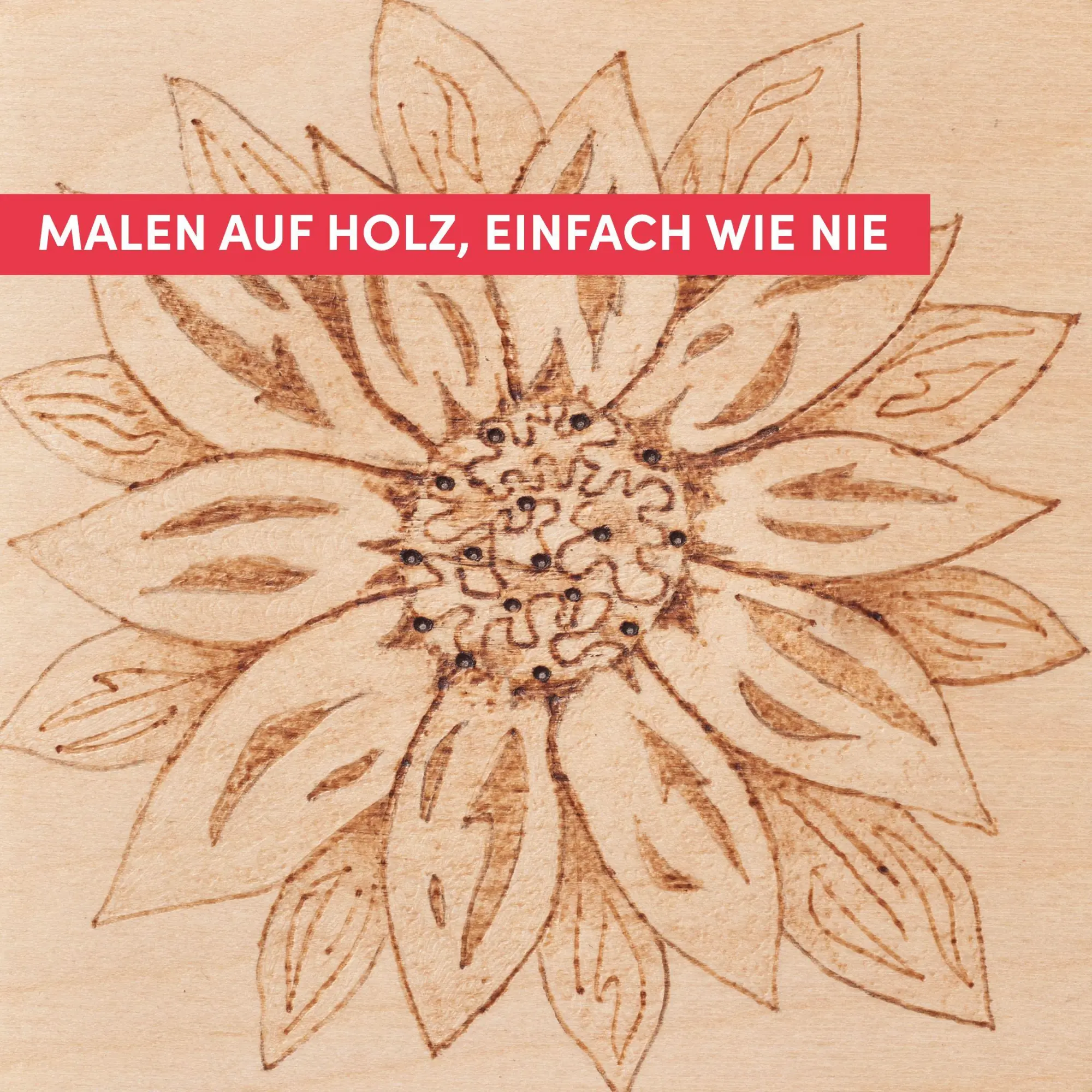 Bild: 9783735854513 | Brandmalerei für Einsteiger | Lisa Shackleton | Buch | 80 S. | Deutsch