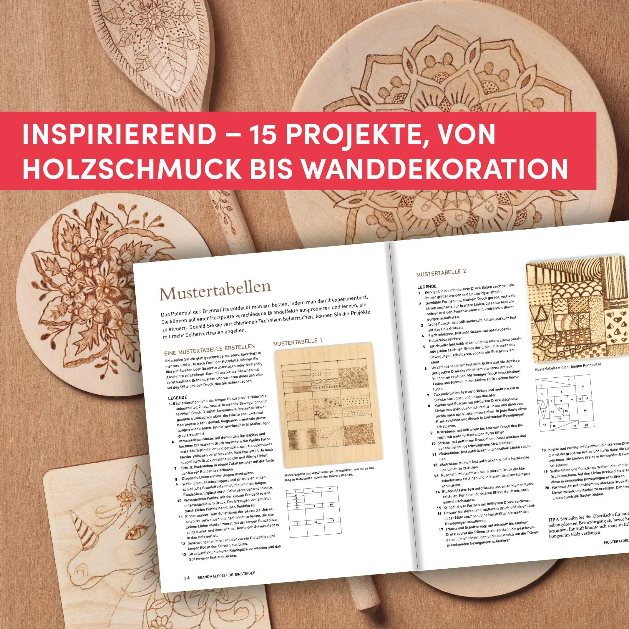 Bild: 9783735854513 | Brandmalerei für Einsteiger | Lisa Shackleton | Buch | 80 S. | Deutsch