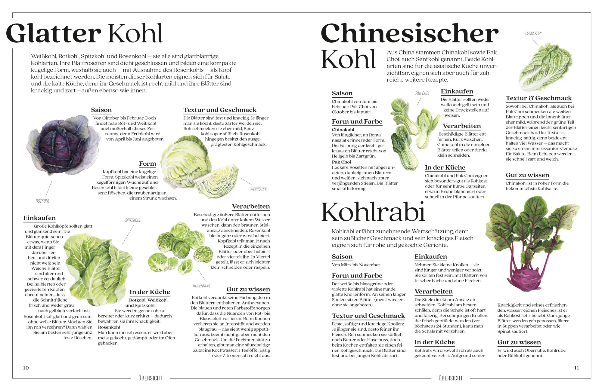 Bild: 9783965844513 | Alles Kohl! | Gesund, vielseitig und einfach lecker | Fauda-Rôle | ZS