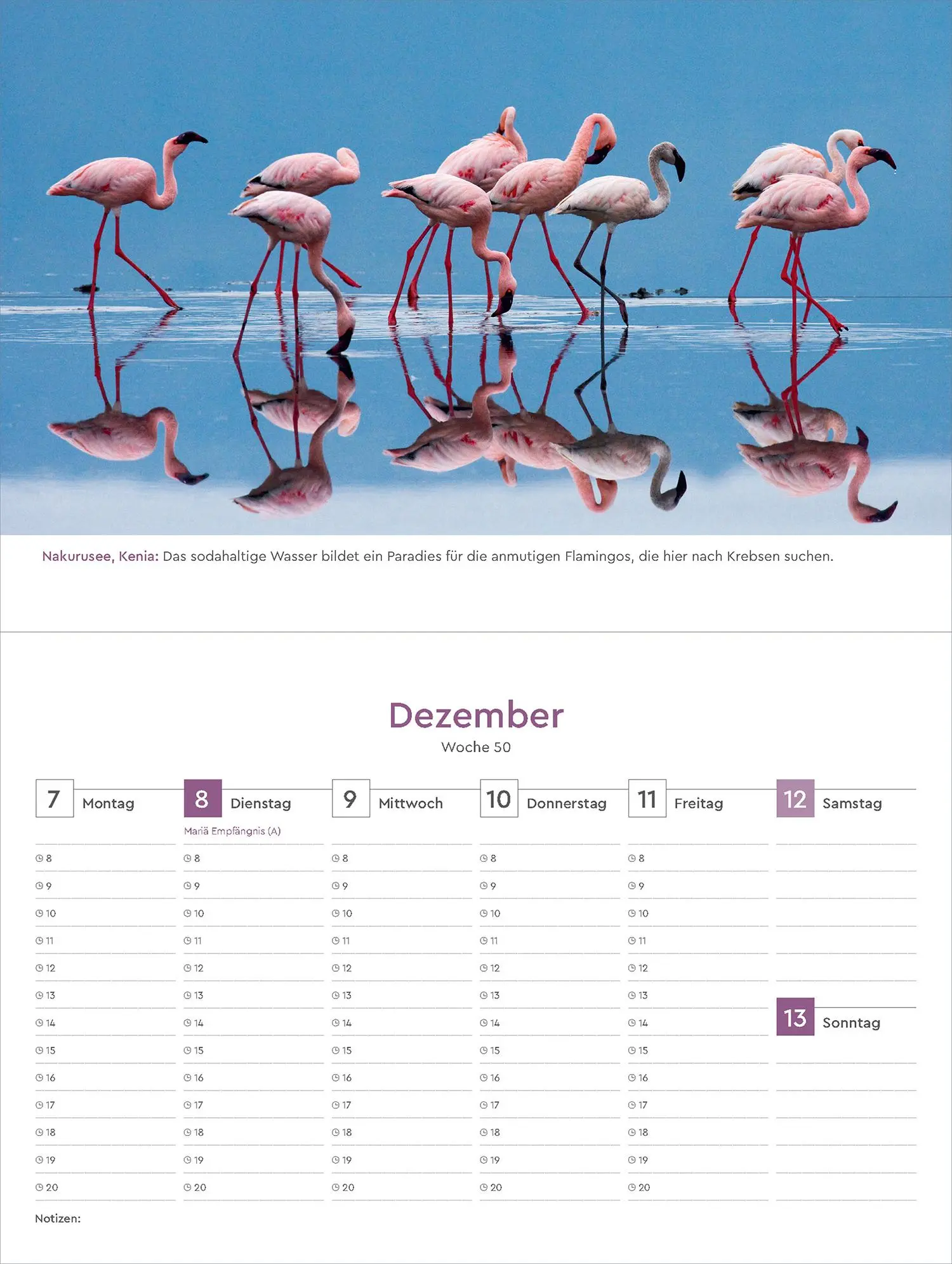 Bild: 9783965914513 | Farben der Erde - KUNTH Tischkalender 2026 | Kalender | 54 S. | 2026