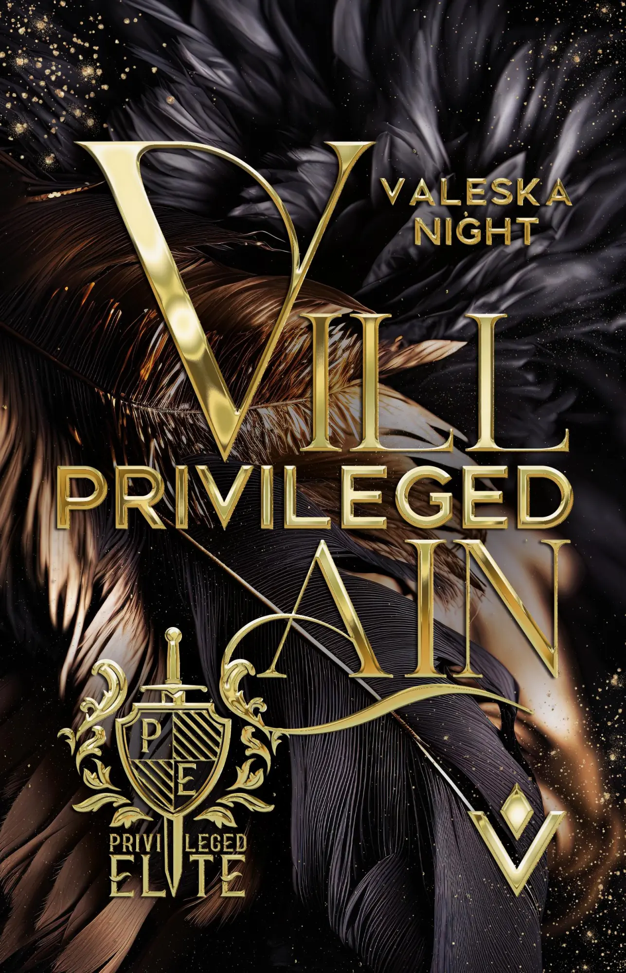 Cover: 9783985954513 | Privileged Villain | Night Valeska | Taschenbuch | Privileged Elite