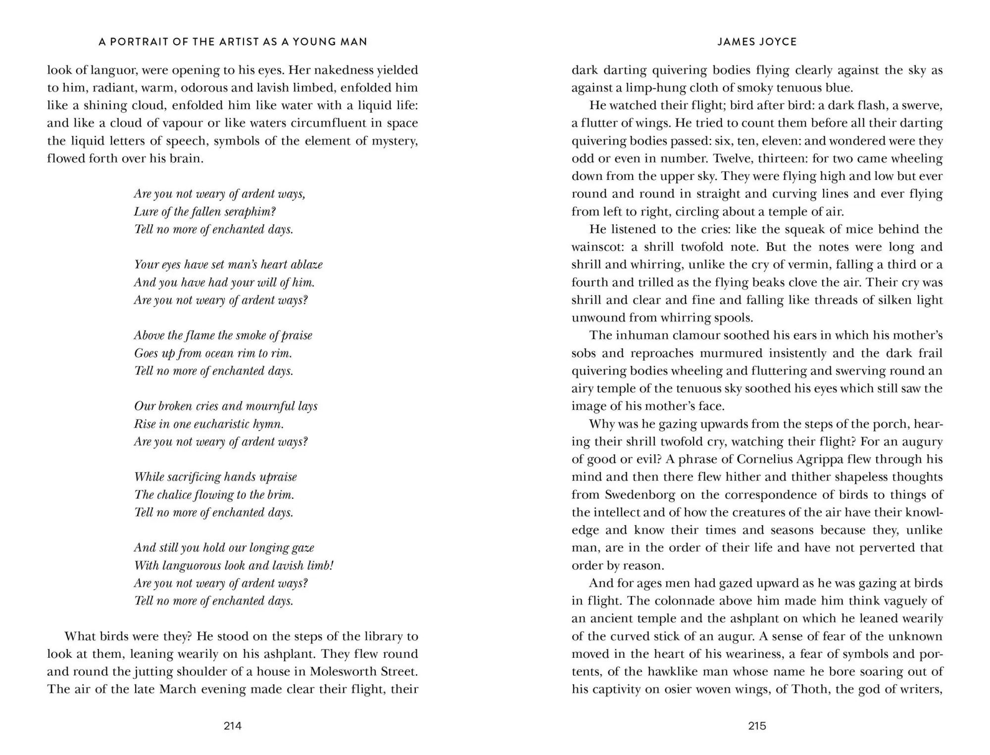 Bild: 9781454954613 | A Portrait of the Artist as a Young Man | James Joyce | Taschenbuch
