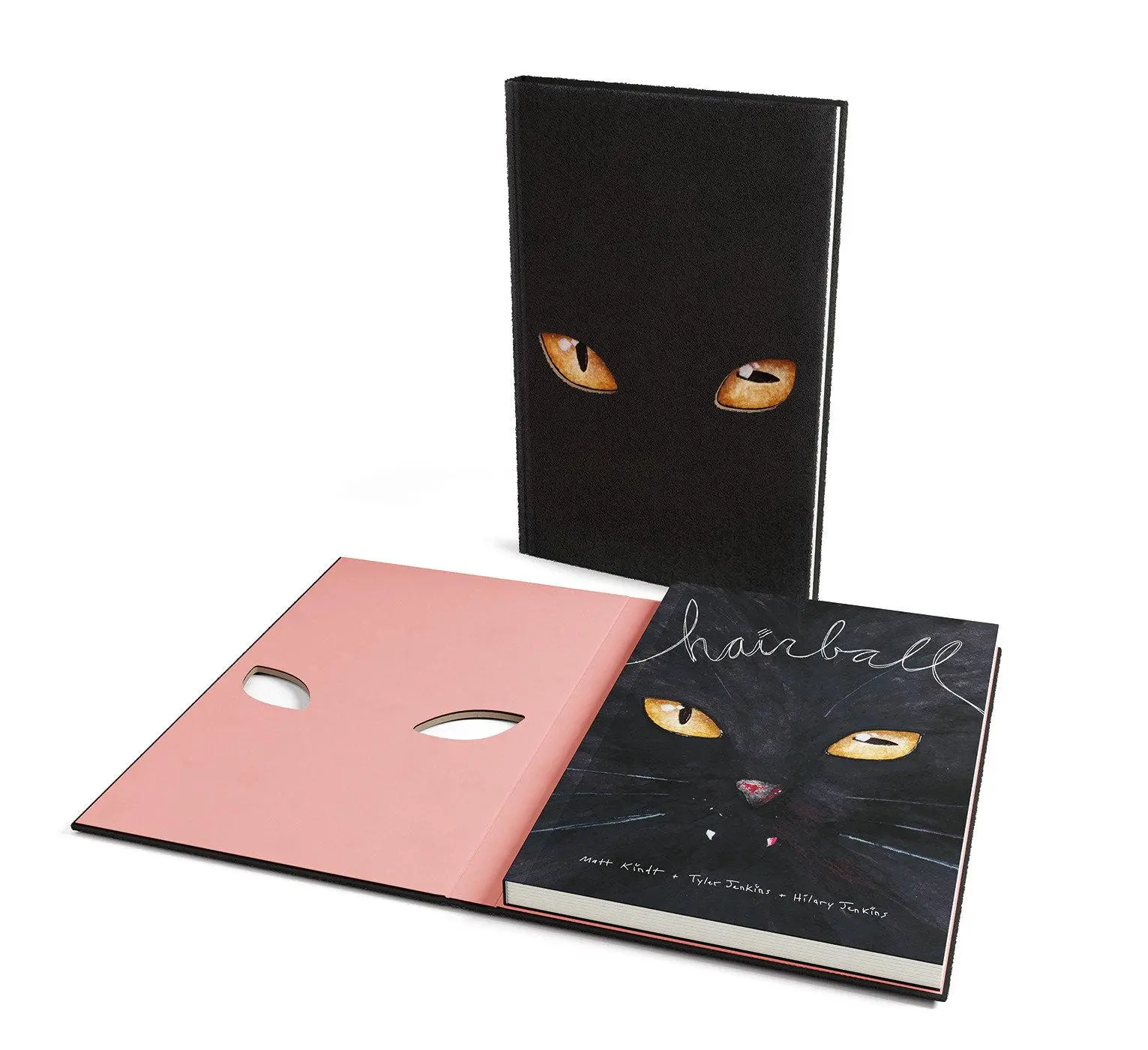 Cover: 9781506734613 | Hairball | Matt Kindt | Buch | Einband - fest (Hardcover) | Englisch