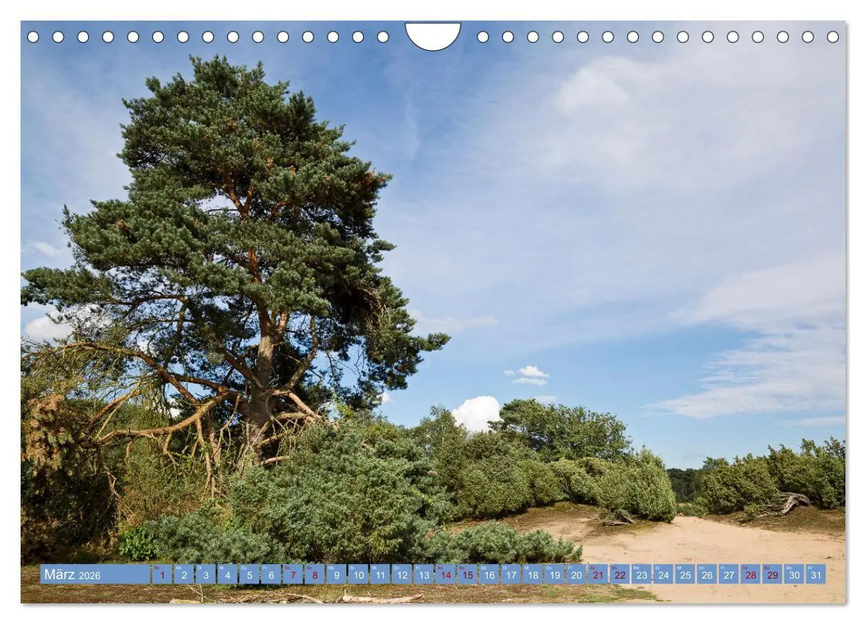 Bild: 9783457344613 | Haltern am See (Wandkalender 2026 DIN A4 quer), CALVENDO...