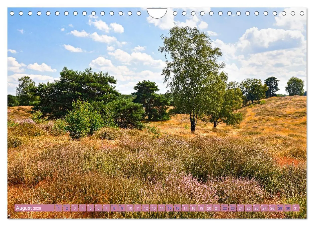 Bild: 9783457344613 | Haltern am See (Wandkalender 2026 DIN A4 quer), CALVENDO...