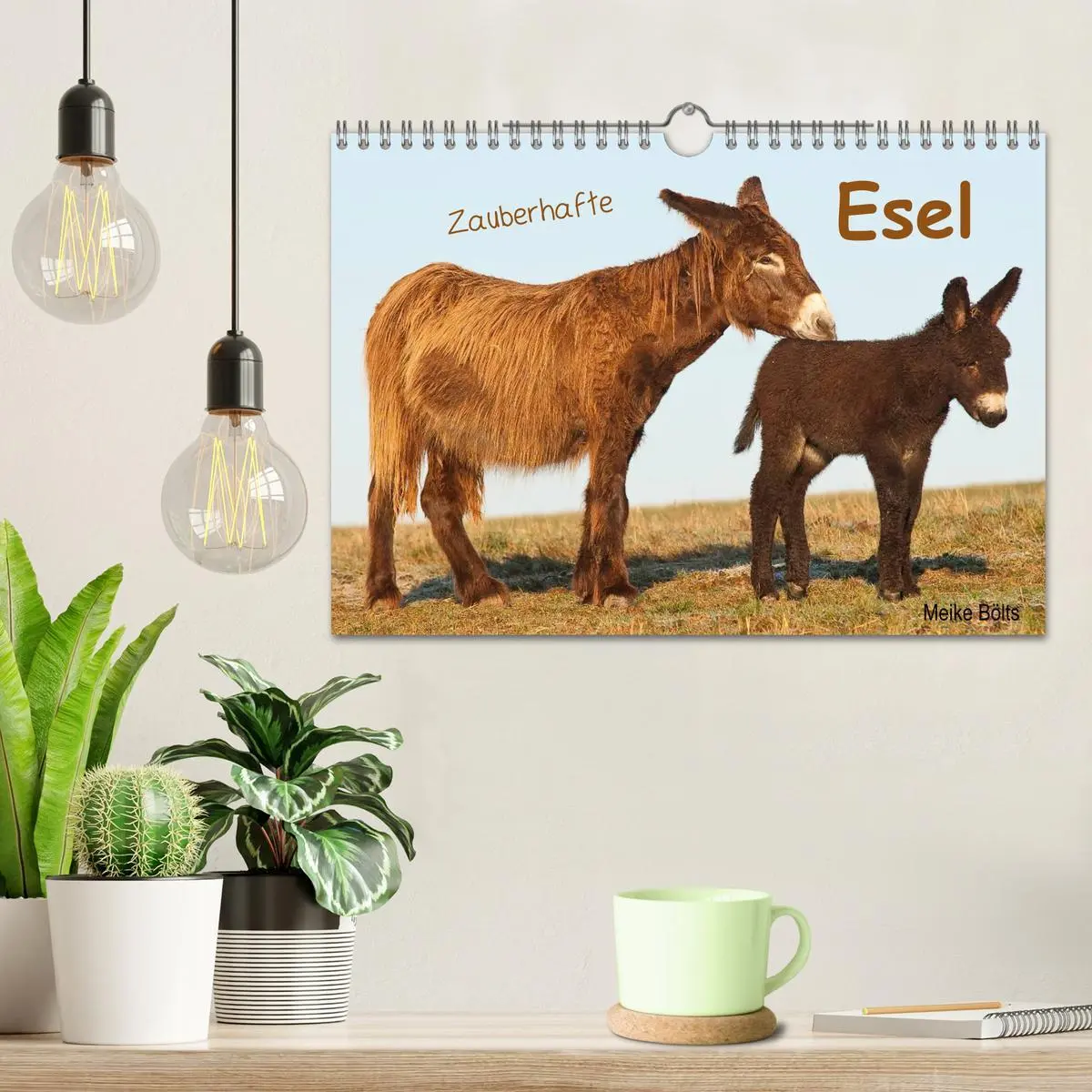 Bild: 9783516054613 | Zauberhafte Esel (Wandkalender 2026 DIN A4 quer), CALVENDO...