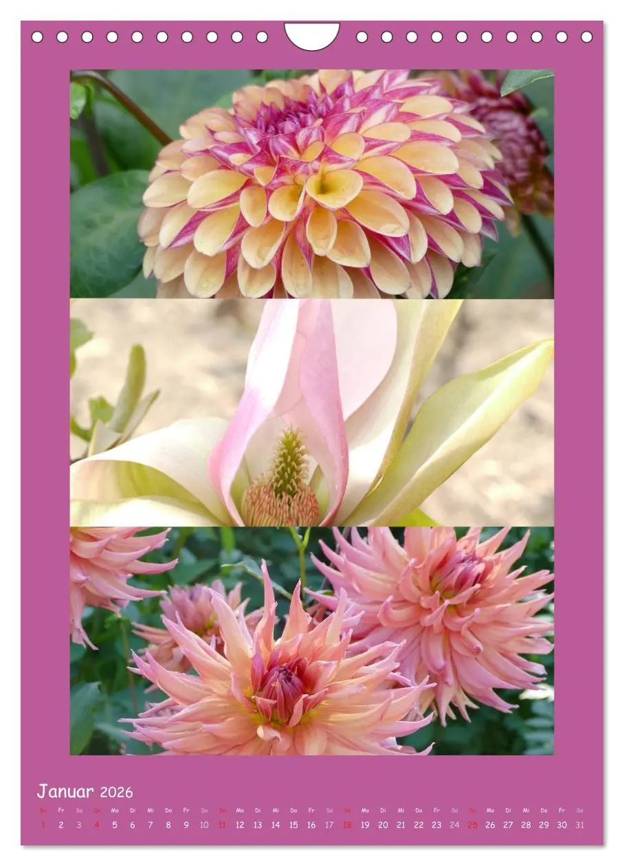Bild: 9783516434613 | Natur im Farbenrausch (Wandkalender 2026 DIN A4 hoch), CALVENDO...