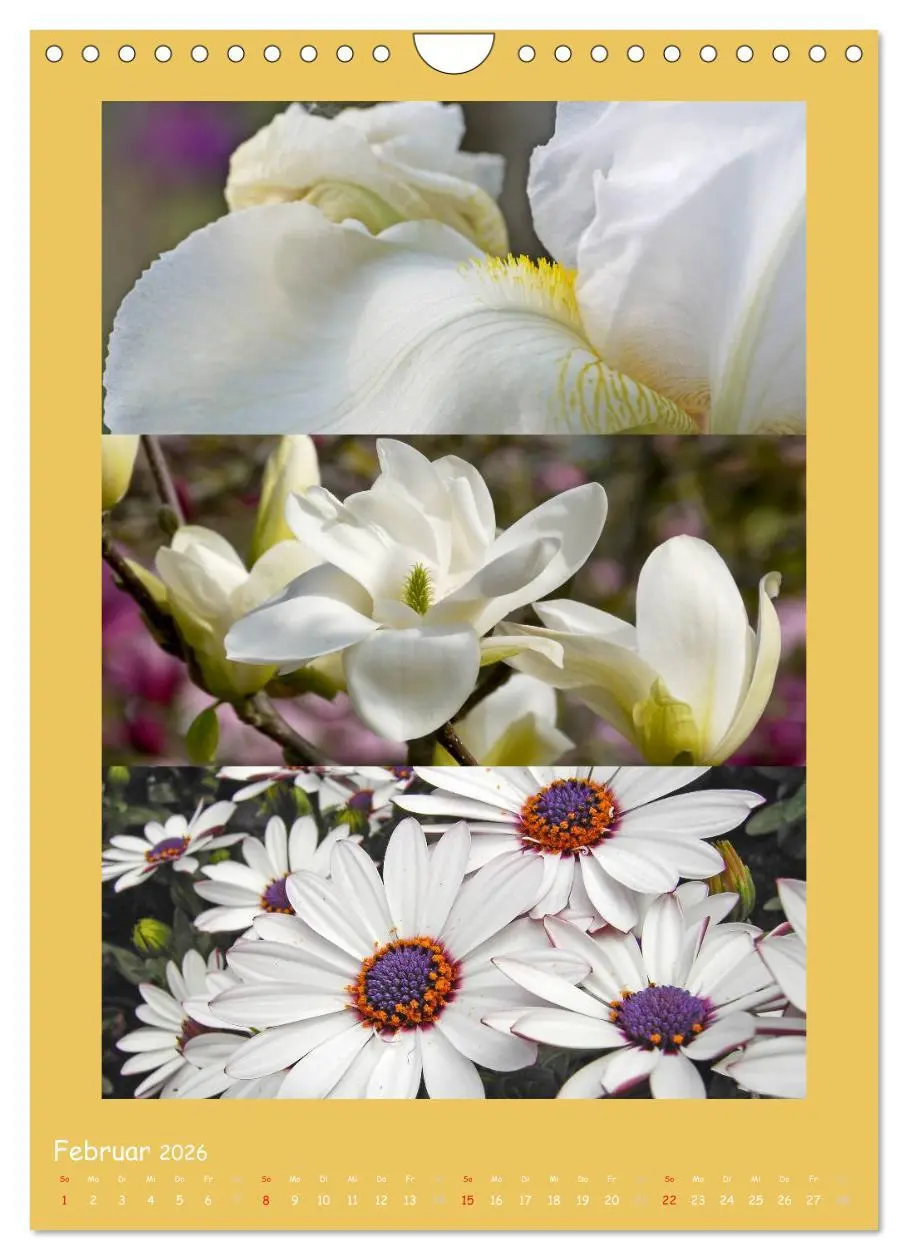 Bild: 9783516434613 | Natur im Farbenrausch (Wandkalender 2026 DIN A4 hoch), CALVENDO...