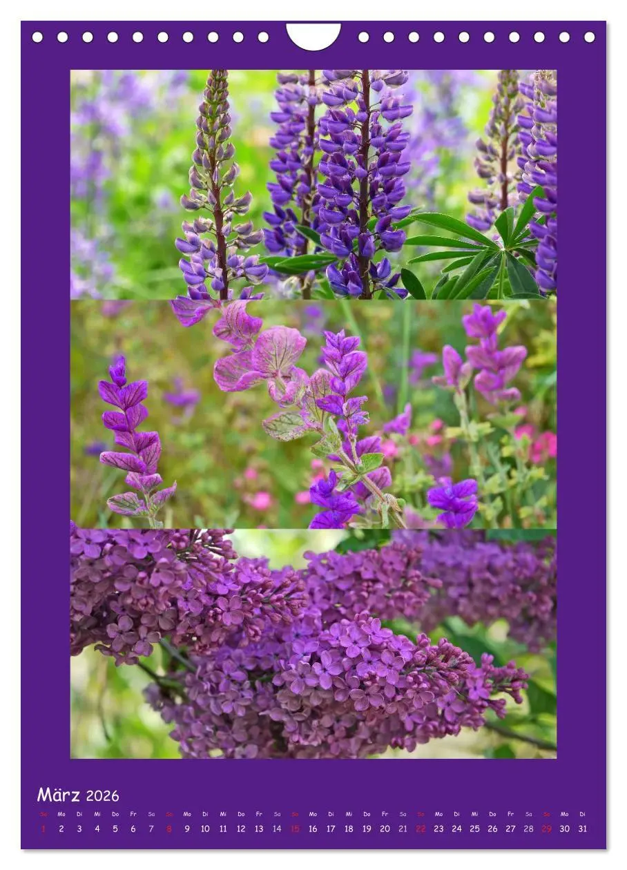 Bild: 9783516434613 | Natur im Farbenrausch (Wandkalender 2026 DIN A4 hoch), CALVENDO...