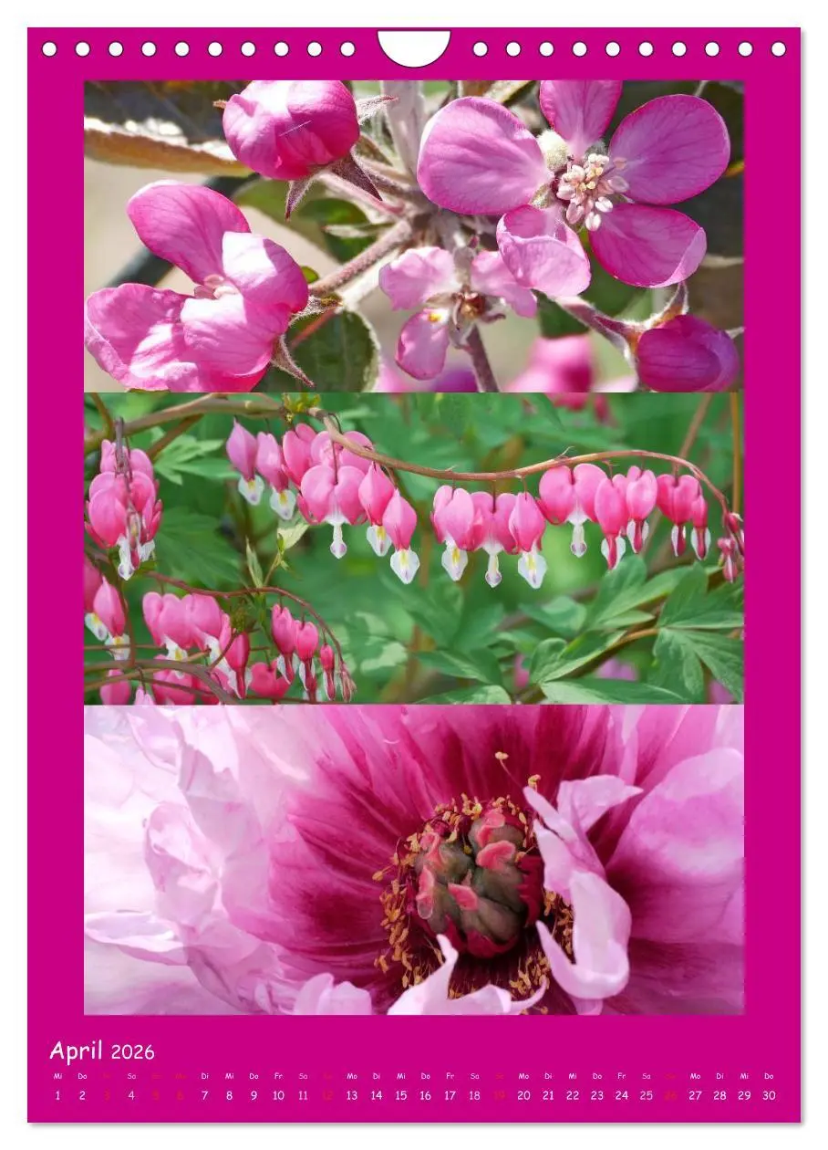 Bild: 9783516434613 | Natur im Farbenrausch (Wandkalender 2026 DIN A4 hoch), CALVENDO...