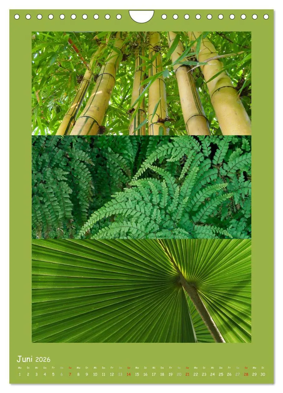 Bild: 9783516434613 | Natur im Farbenrausch (Wandkalender 2026 DIN A4 hoch), CALVENDO...