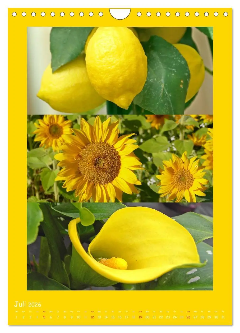 Bild: 9783516434613 | Natur im Farbenrausch (Wandkalender 2026 DIN A4 hoch), CALVENDO...