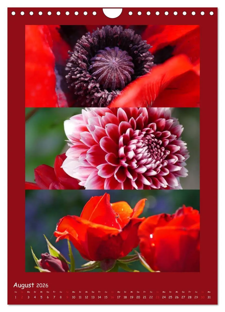 Bild: 9783516434613 | Natur im Farbenrausch (Wandkalender 2026 DIN A4 hoch), CALVENDO...