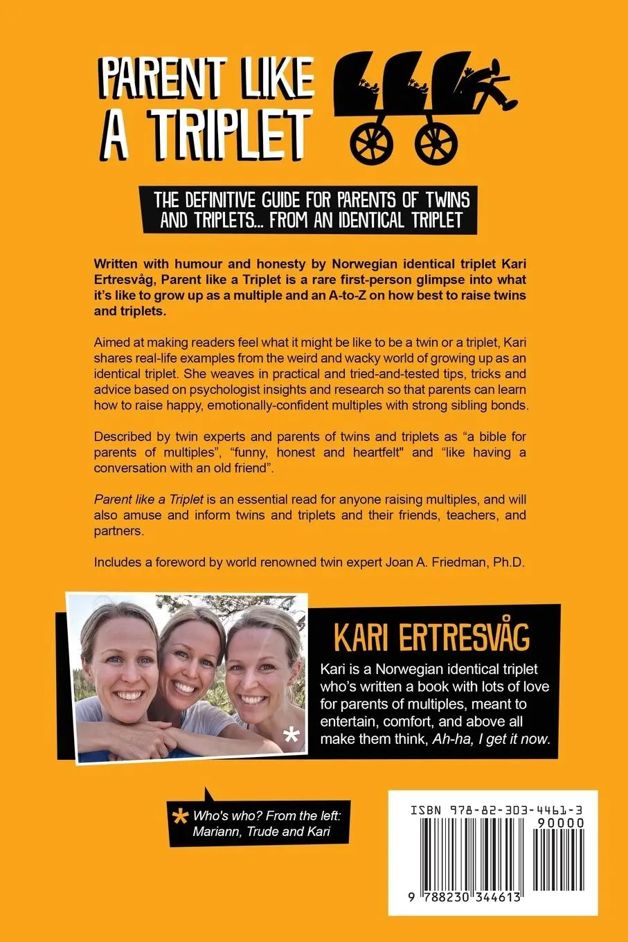 Rückseite: 9788230344613 | Parent like a Triplet | Kari Ertresvåg | Taschenbuch | Englisch | 2020