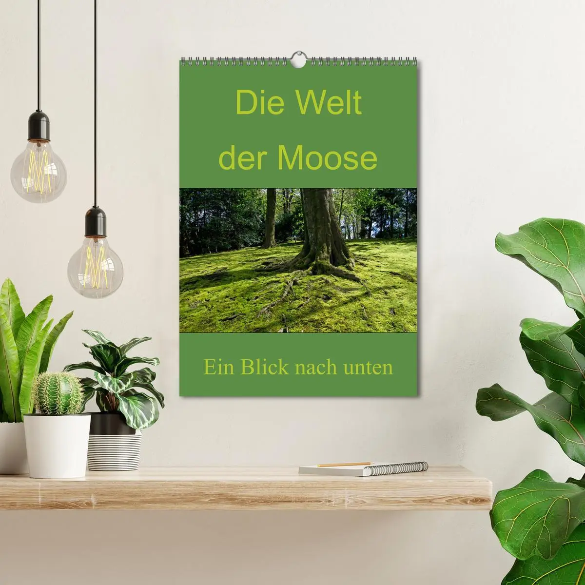 Bild: 9783516424713 | Die Welt der Moose. Ein Blick nach unten (Wandkalender 2026 DIN A3...