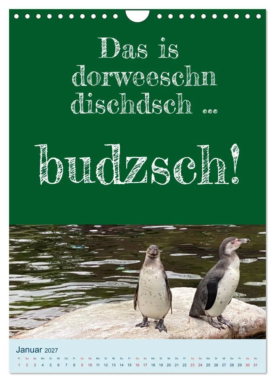 Bild: 9783569204713 | Ni schwäbborn! Mundart und Dialekt Kalender Sachsen (Wandkalender...