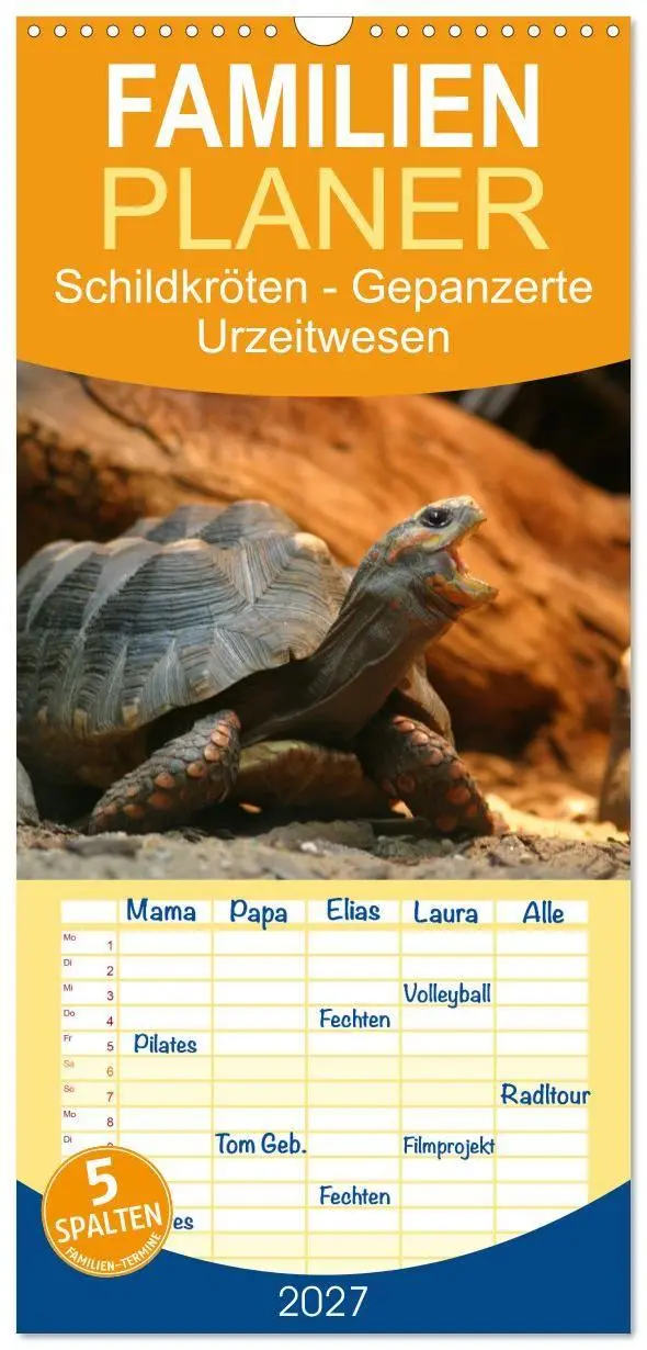 Cover: 9783594334713 | Familienplaner 2027 - Schildkröten - Gepanzerte Urzeitwesen mit 5...