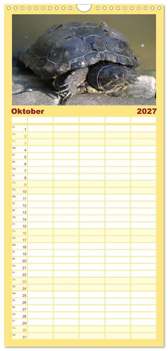 Bild: 9783594334713 | Familienplaner 2027 - Schildkröten - Gepanzerte Urzeitwesen mit 5...