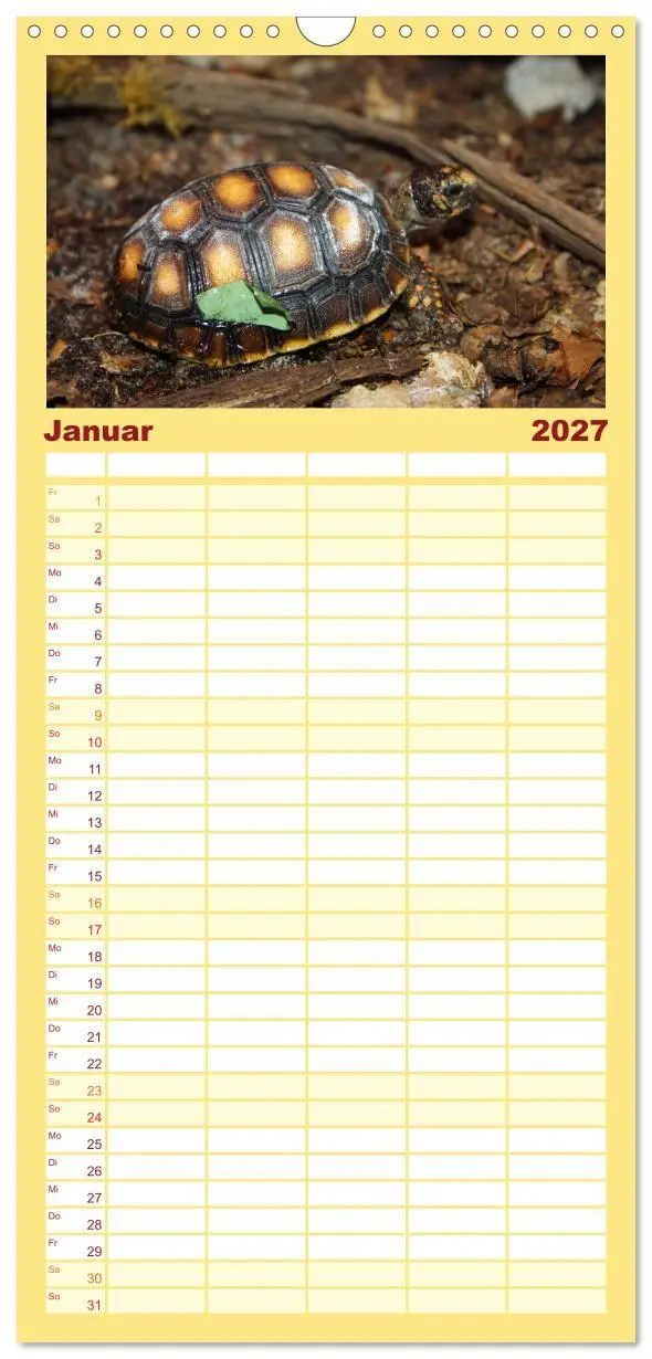 Bild: 9783594334713 | Familienplaner 2027 - Schildkröten - Gepanzerte Urzeitwesen mit 5...