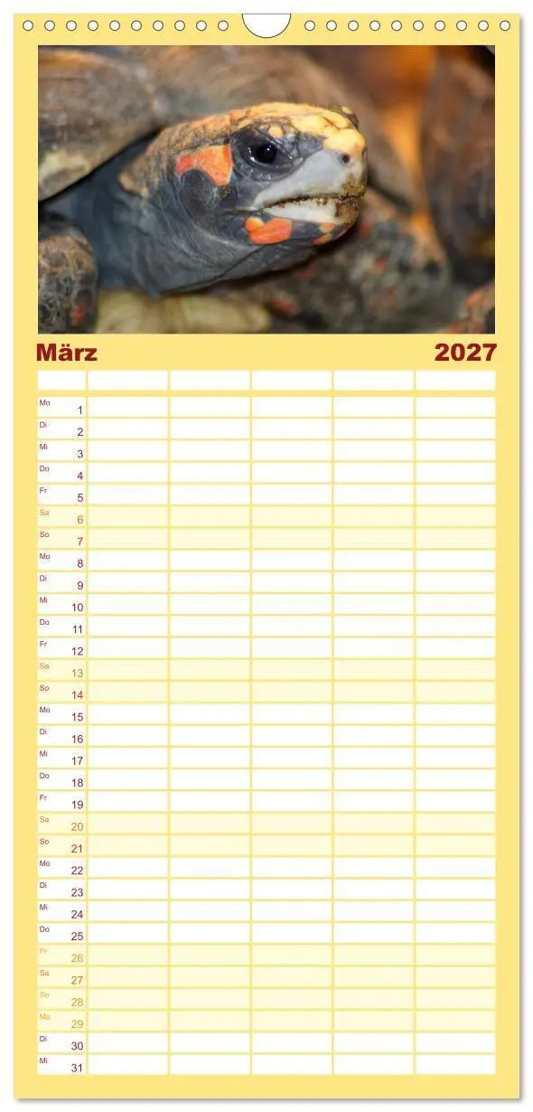 Bild: 9783594334713 | Familienplaner 2027 - Schildkröten - Gepanzerte Urzeitwesen mit 5...