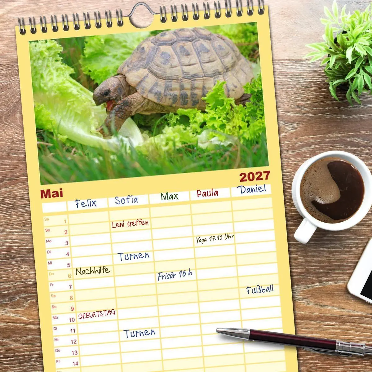 Bild: 9783594334713 | Familienplaner 2027 - Schildkröten - Gepanzerte Urzeitwesen mit 5...