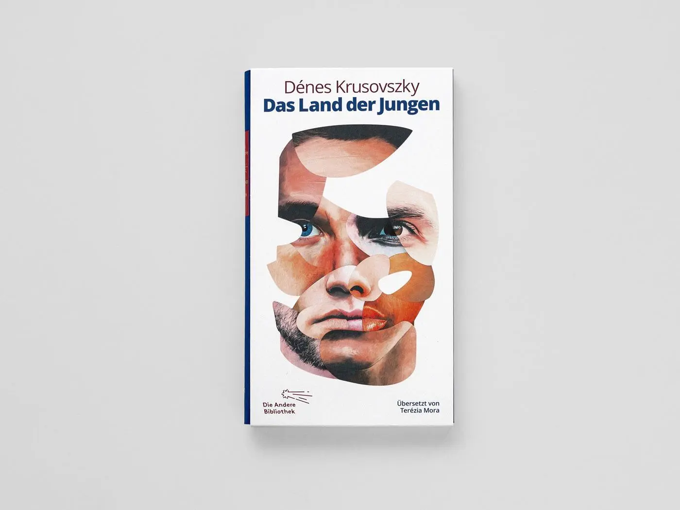 Bild: 9783847704713 | Das Land der Jungen | Erzählungen | Dénes Krusovszky | Buch | 264 S.