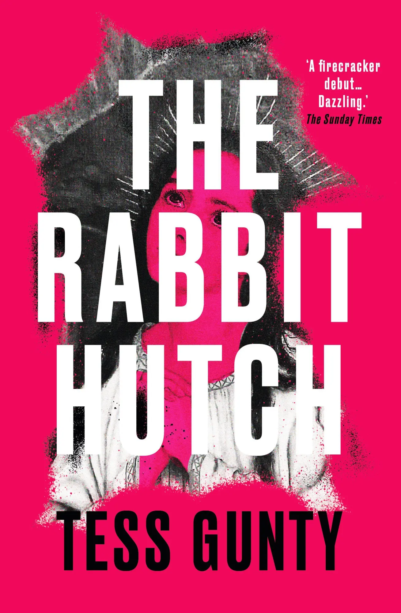 Cover: 9780861544813 | The Rabbit Hutch | Tess Gunty | Taschenbuch | 338 S. | Englisch | 2022