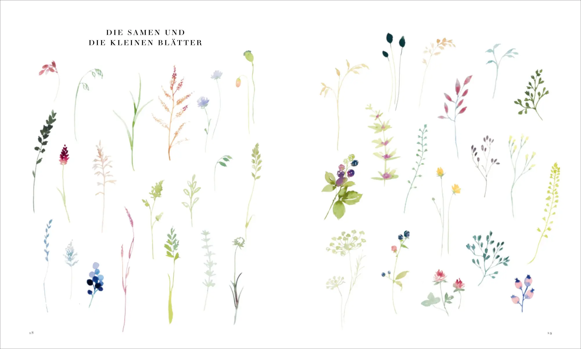 Bild: 9783862304813 | Monogramme in Aquarell | Blanche Tristant | Buch | 144 S. | Deutsch