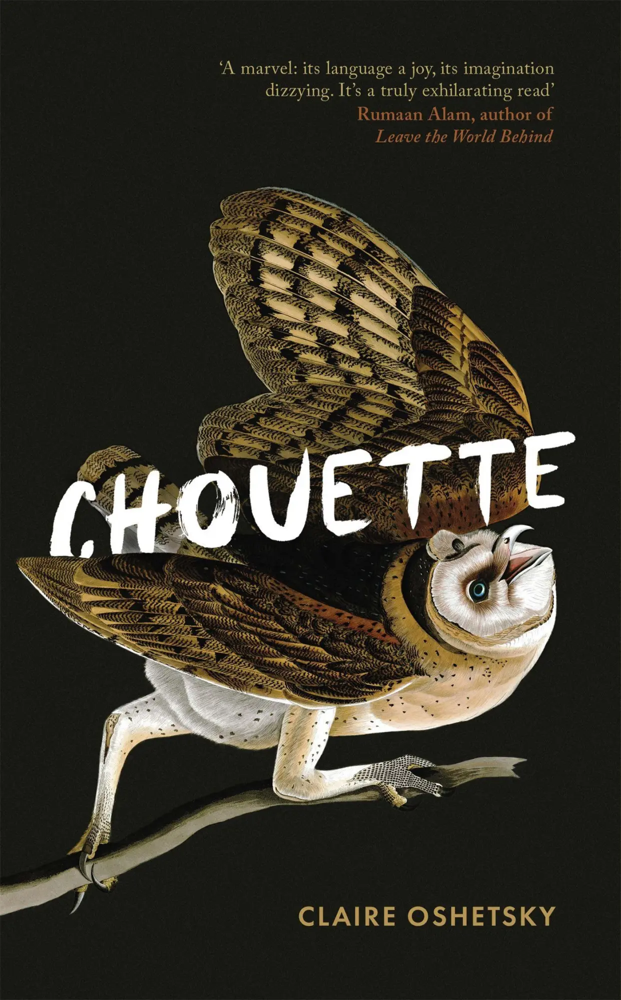 Cover: 9780349014913 | Chouette | Claire Oshetsky | Buch | Gebunden | Englisch | 2021
