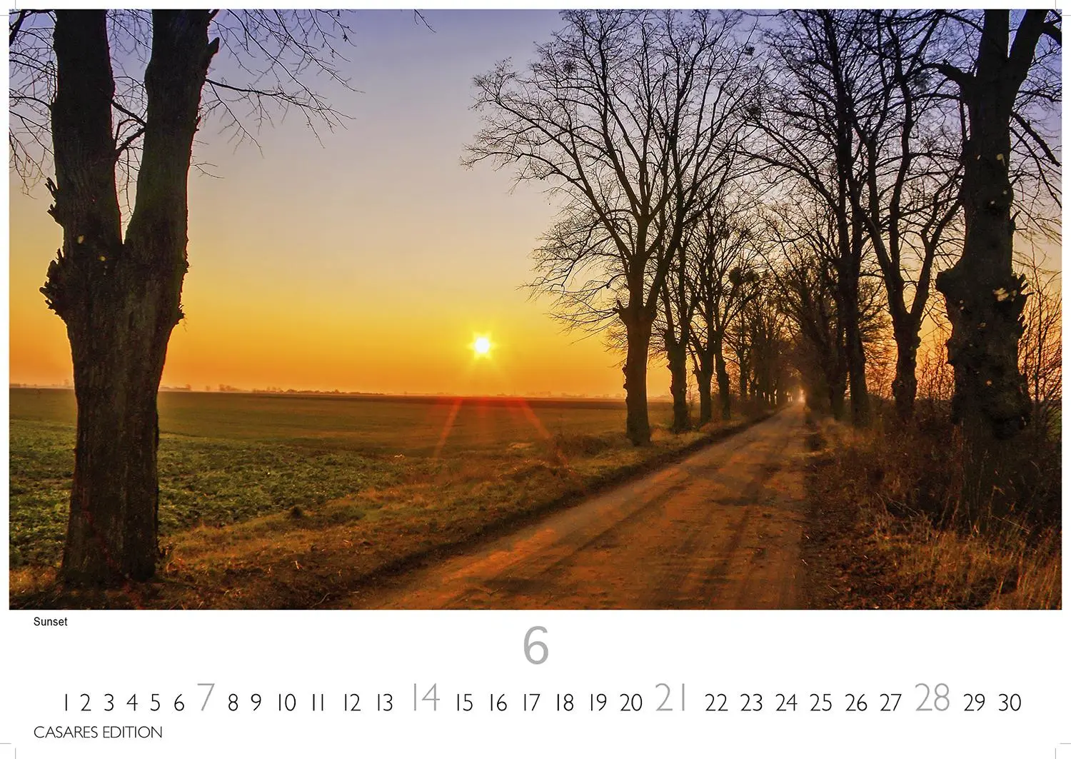 Bild: 9781835244913 | Polen Kalender 2026 50x35cm Grosses Format - Entdecken Sie die...