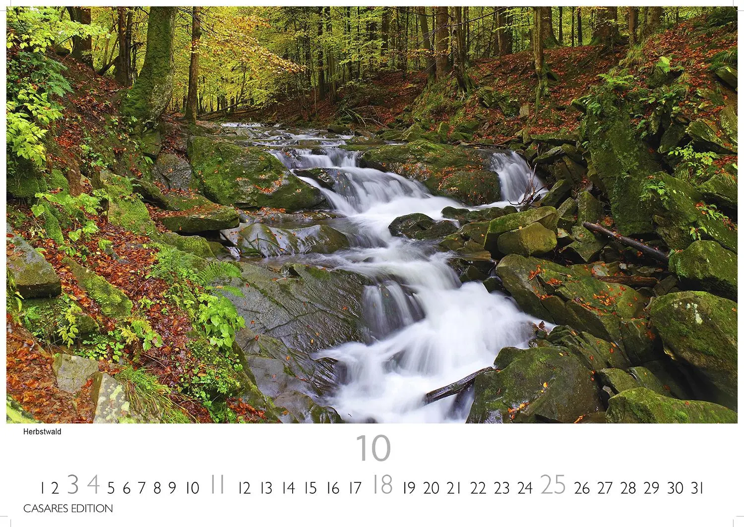 Bild: 9781835244913 | Polen Kalender 2026 50x35cm Grosses Format - Entdecken Sie die...