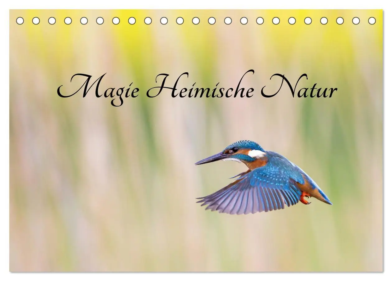 Cover: 9783457554913 | Magie Heimische Natur (Tischkalender 2026 DIN A5 quer), CALVENDO...