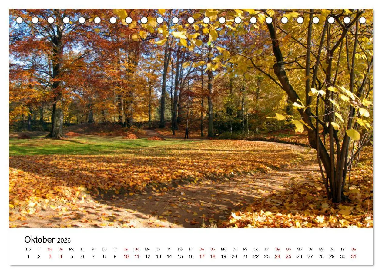 Bild: 9783457745113 | Waldheim (Tischkalender 2026 DIN A5 quer), CALVENDO Monatskalender
