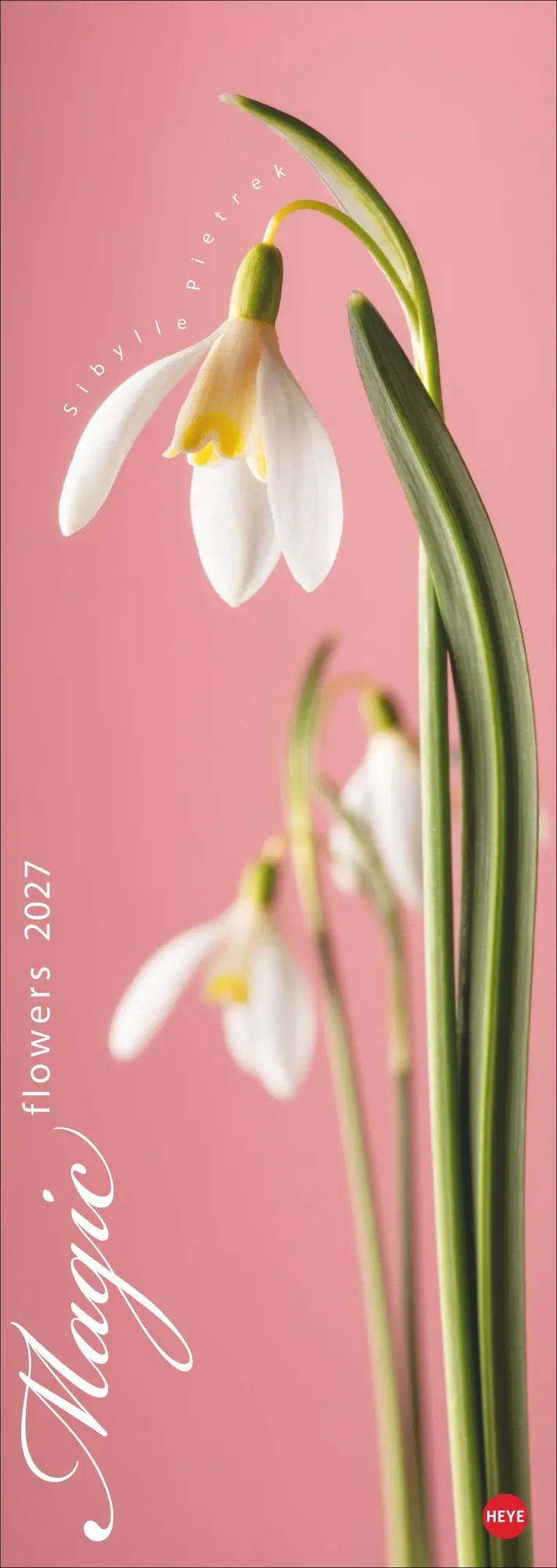 Cover: 9783756415113 | Magic Flowers Vertical Kalender 2027 | Sibylle Pietrek | Kalender