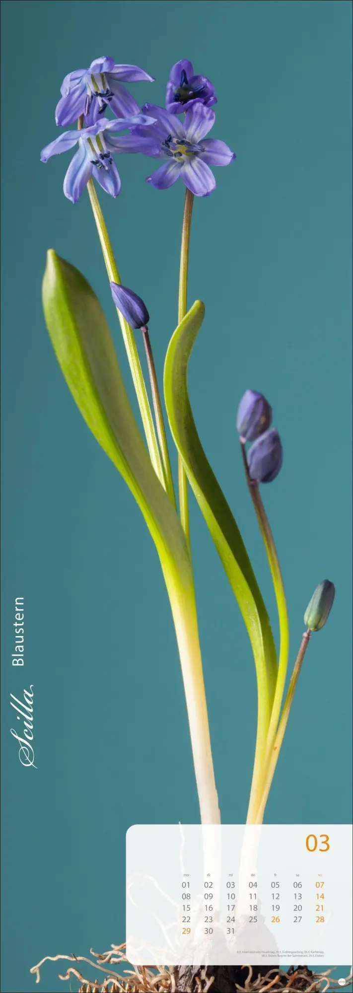Bild: 9783756415113 | Magic Flowers Vertical Kalender 2027 | Sibylle Pietrek | Kalender