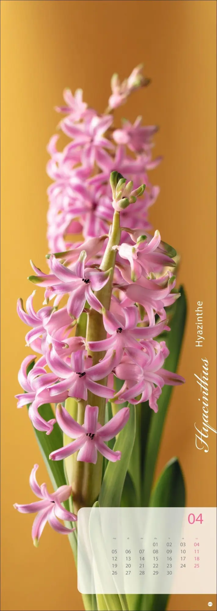 Bild: 9783756415113 | Magic Flowers Vertical Kalender 2027 | Sibylle Pietrek | Kalender
