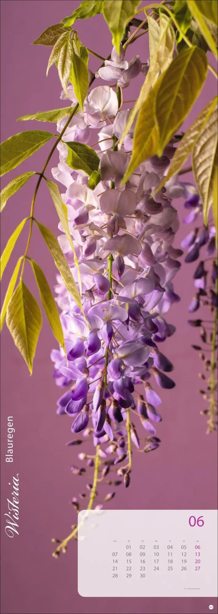Bild: 9783756415113 | Magic Flowers Vertical Kalender 2027 | Sibylle Pietrek | Kalender