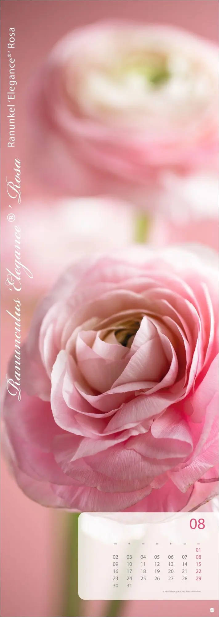 Bild: 9783756415113 | Magic Flowers Vertical Kalender 2027 | Sibylle Pietrek | Kalender