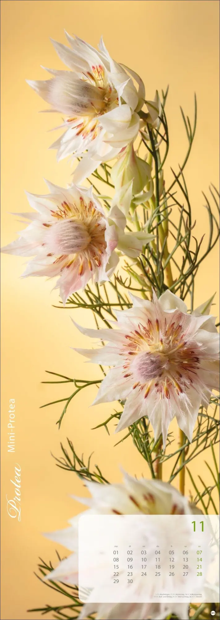 Bild: 9783756415113 | Magic Flowers Vertical Kalender 2027 | Sibylle Pietrek | Kalender
