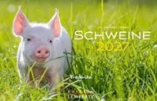 Cover: 9783960585213 | Schweine Kalender 2027 | Der Tierkalender mit den charmanten Namen