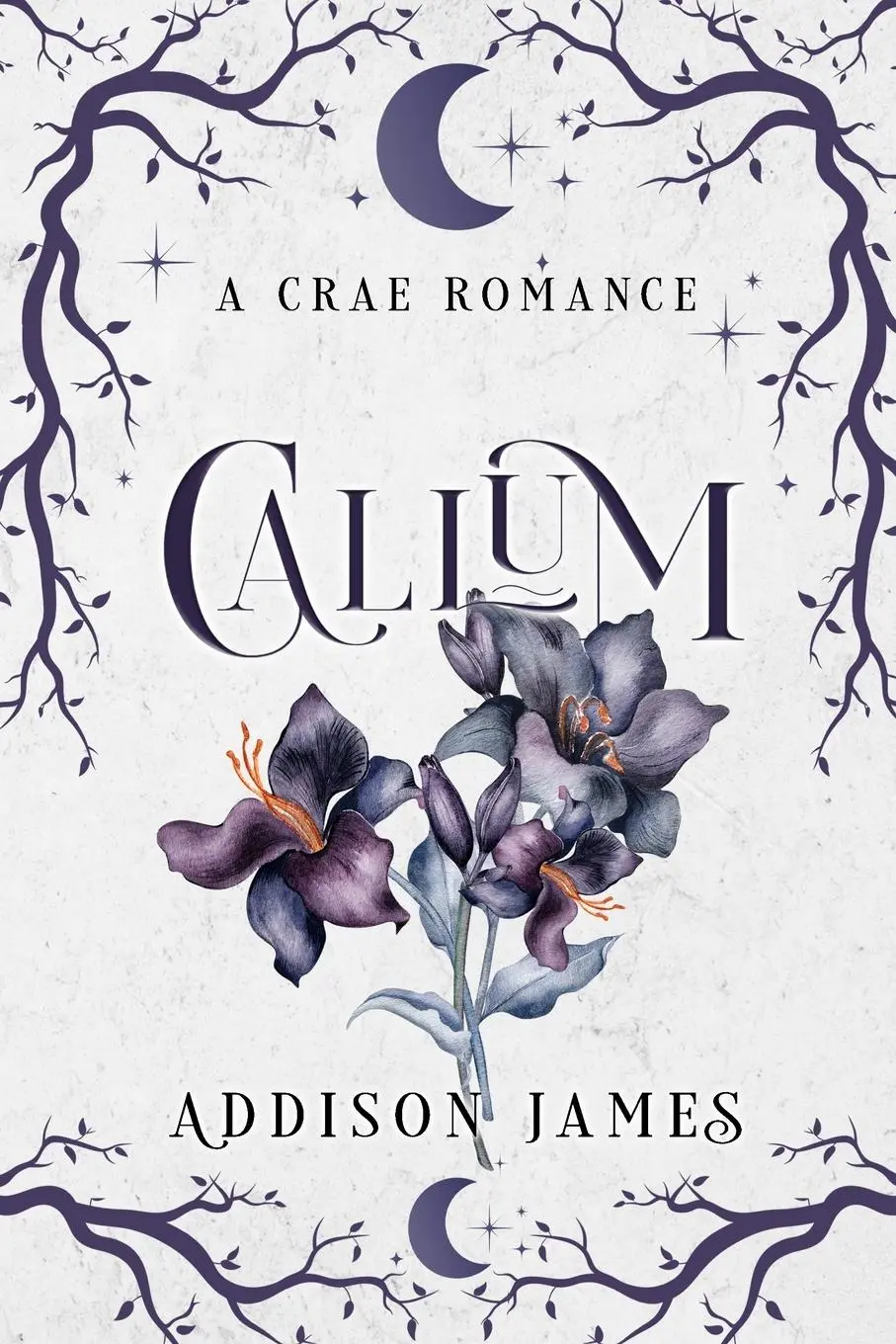 Cover: 9798992445213 | Callum | Addison James | Taschenbuch | Englisch | 2023 | Addison James