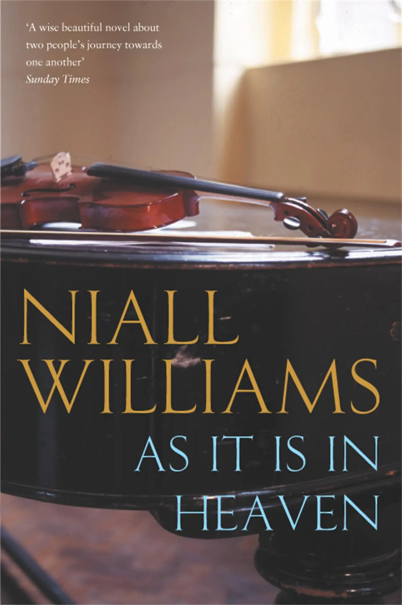 Cover: 9780330375313 | As It Is in Heaven | Niall Williams | Taschenbuch | Englisch | 2006