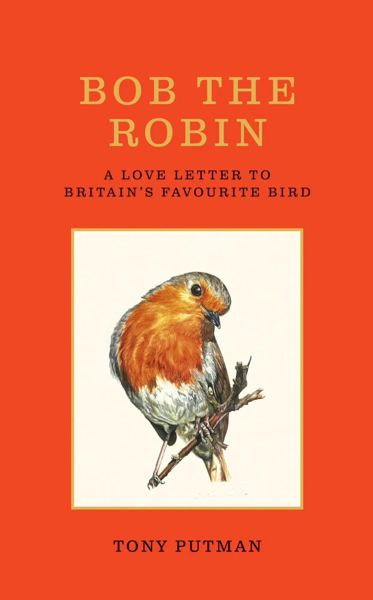 Cover: 9781856755313 | Bob the Robin | A Love Letter to Britain's Favourite Bird | Putman