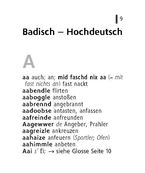 Bild: 9783125145313 | Langenscheidt Lilliput Badisch | Taschenbuch | Langenscheidt Lilliput